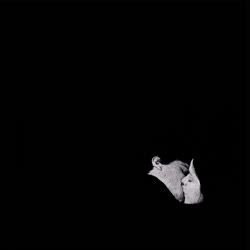 Bob Moses • B.o.B • Archive +5 cover 1